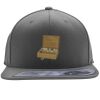 Flexfit 110F Structured Flat Bill Snapback Hat Thumbnail