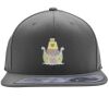 Flexfit 110F Structured Flat Bill Snapback Hat Thumbnail