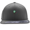 Flexfit 110F Structured Flat Bill Snapback Hat Thumbnail