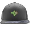 Flexfit 110F Structured Flat Bill Snapback Hat Thumbnail