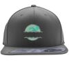 Flexfit 110F Structured Flat Bill Snapback Hat Thumbnail