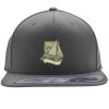 Flexfit 110F Structured Flat Bill Snapback Hat Thumbnail