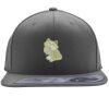 Flexfit 110F Structured Flat Bill Snapback Hat Thumbnail