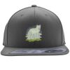 Flexfit 110F Structured Flat Bill Snapback Hat Thumbnail