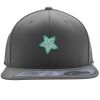 Flexfit 110F Structured Flat Bill Snapback Hat Thumbnail