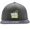 Flexfit 110F Structured Flat Bill Snapback Hat Thumbnail