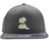 Flexfit 110F Structured Flat Bill Snapback Hat Thumbnail