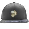 Flexfit 110F Structured Flat Bill Snapback Hat Thumbnail