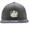 Flexfit 110F Structured Flat Bill Snapback Hat Thumbnail