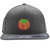Flexfit 110F Structured Flat Bill Snapback Hat Thumbnail