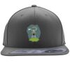 Flexfit 110F Structured Flat Bill Snapback Hat Thumbnail