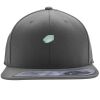 Flexfit 110F Structured Flat Bill Snapback Hat Thumbnail