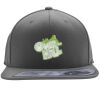 Flexfit 110F Structured Flat Bill Snapback Hat Thumbnail