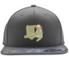 Flexfit 110F Structured Flat Bill Snapback Hat Thumbnail