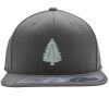 Flexfit 110F Structured Flat Bill Snapback Hat Thumbnail