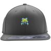 Flexfit 110F Structured Flat Bill Snapback Hat Thumbnail