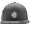 Flexfit 110F Structured Flat Bill Snapback Hat Thumbnail