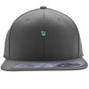 Flexfit 110F Structured Flat Bill Snapback Hat Thumbnail