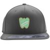 Flexfit 110F Structured Flat Bill Snapback Hat Thumbnail