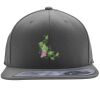 Flexfit 110F Structured Flat Bill Snapback Hat Thumbnail