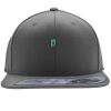 Flexfit 110F Structured Flat Bill Snapback Hat Thumbnail