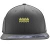 Flexfit 110F Structured Flat Bill Snapback Hat Thumbnail