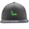 Flexfit 110F Structured Flat Bill Snapback Hat Thumbnail