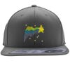 Flexfit 110F Structured Flat Bill Snapback Hat Thumbnail