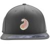 Flexfit 110F Structured Flat Bill Snapback Hat Thumbnail
