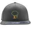 Flexfit 110F Structured Flat Bill Snapback Hat Thumbnail
