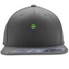 Flexfit 110F Structured Flat Bill Snapback Hat Thumbnail