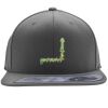 Flexfit 110F Structured Flat Bill Snapback Hat Thumbnail