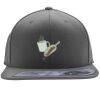 Flexfit 110F Structured Flat Bill Snapback Hat Thumbnail
