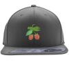 Flexfit 110F Structured Flat Bill Snapback Hat Thumbnail
