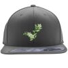 Flexfit 110F Structured Flat Bill Snapback Hat Thumbnail