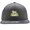 Flexfit 110F Structured Flat Bill Snapback Hat Thumbnail