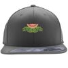 Flexfit 110F Structured Flat Bill Snapback Hat Thumbnail