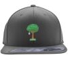 Flexfit 110F Structured Flat Bill Snapback Hat Thumbnail
