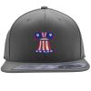 Flexfit 110F Structured Flat Bill Snapback Hat Thumbnail