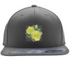 Flexfit 110F Structured Flat Bill Snapback Hat Thumbnail