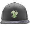 Flexfit 110F Structured Flat Bill Snapback Hat Thumbnail