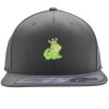 Flexfit 110F Structured Flat Bill Snapback Hat Thumbnail