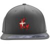 Flexfit 110F Structured Flat Bill Snapback Hat Thumbnail
