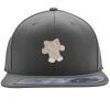Flexfit 110F Structured Flat Bill Snapback Hat Thumbnail