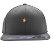 Flexfit 110F Structured Flat Bill Snapback Hat Thumbnail