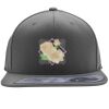 Flexfit 110F Structured Flat Bill Snapback Hat Thumbnail