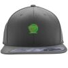 Flexfit 110F Structured Flat Bill Snapback Hat Thumbnail