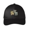 Snapback Fine Twill Cap Thumbnail